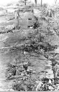 Photograph 11
