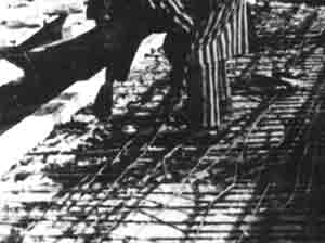 Photograph 12