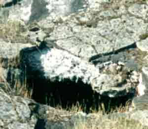 Photograph 17