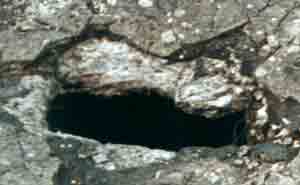Photograph 18