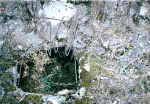 Photograph 22