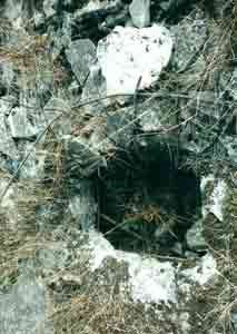 Photograph 23