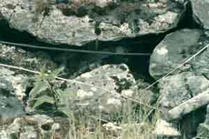 Photograph 27