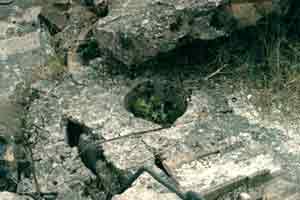 Photograph 8