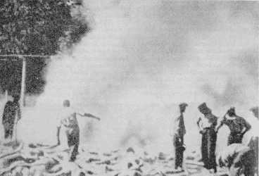 Angebliche Leichenverbrennung in Auschwitz-Birkenau